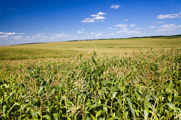 Similar image 8381827