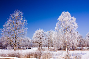 Similar image 8381829