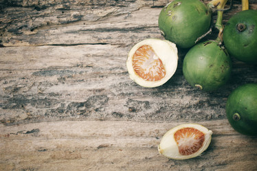 Similar image 8381839