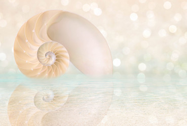 Similar image 8381876