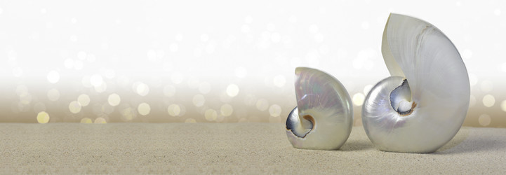 Similar image 8381879