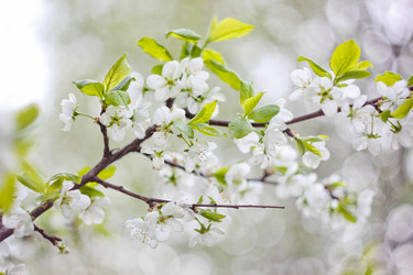 Similar image 8381883