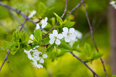 Similar image 8381884