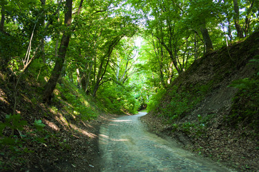 Similar image 8381885