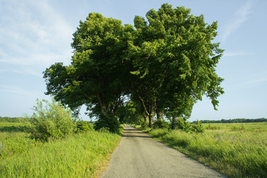 Similar image 8381886