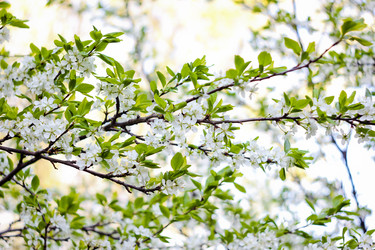 Similar image 8381891