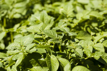 Similar image 8381917