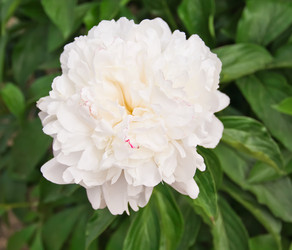 Similar image 8381943