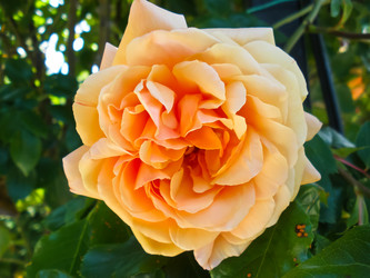 Similar image 8381947