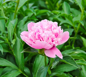 Similar image 8381948