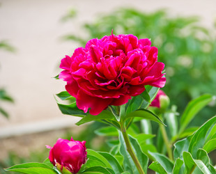 Similar image 8381950