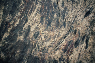 Similar image 8381954