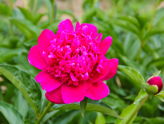 Similar image 8381975