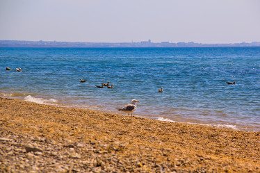 Similar image 8381978