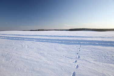 Similar image 8381999