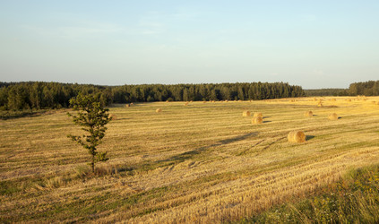 Similar image 8382008