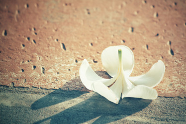 Similar image 8382018