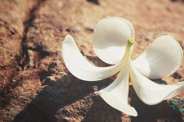 Similar image 8382019