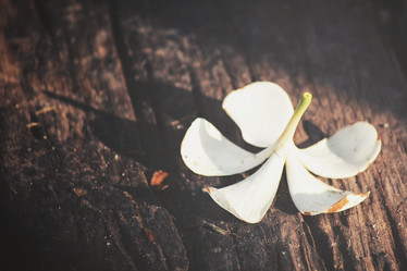 Similar image 8382020