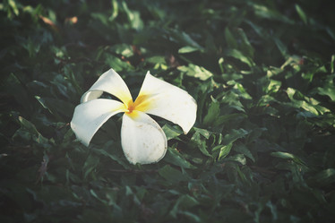 Similar image 8382021