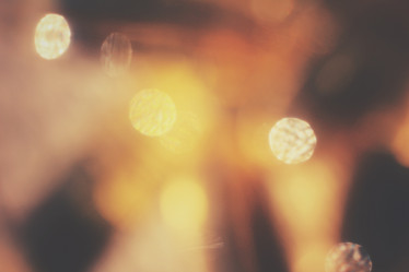 Similar image 8382040