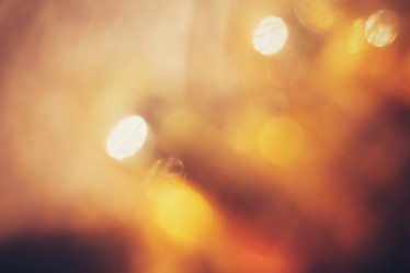 Similar image 8382044