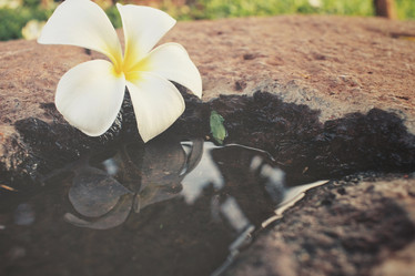 Similar image 8382056