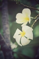 Similar image 8382066