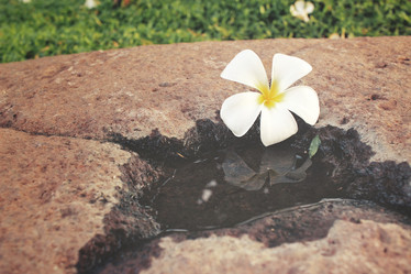 Similar image 8382069