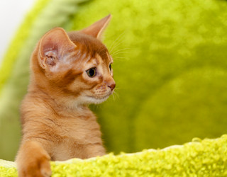 Similar image 8382079