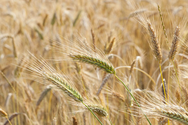 Similar image 8382086