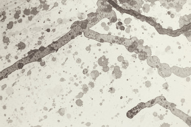 Similar image 8382095