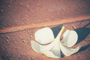 Similar image 8382096