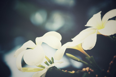 Similar image 8382098