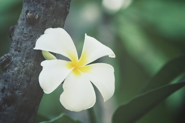 Similar image 8382110