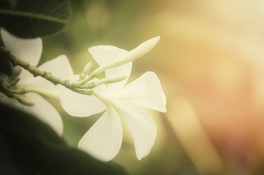 Similar image 8382112