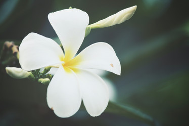 Similar image 8382115