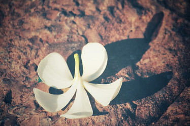 Similar image 8382120