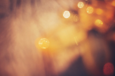 Similar image 8382129