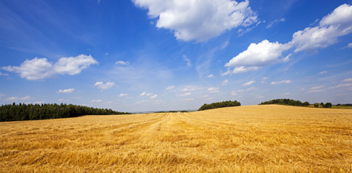 Similar image 8382166