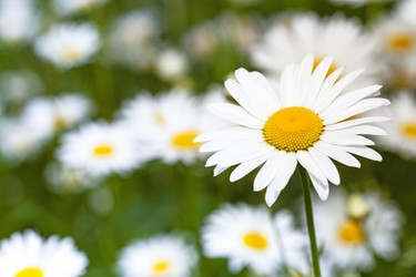 Similar image 8382171