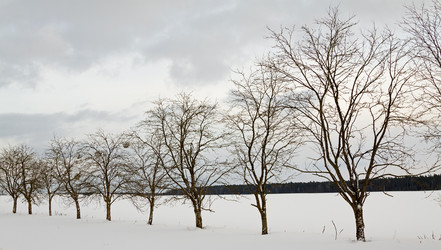 Similar image 8382187