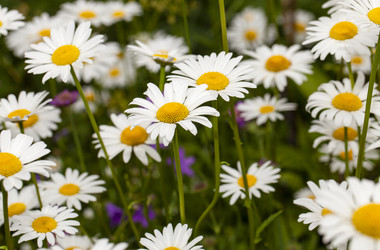 Similar image 8382200