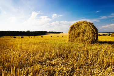 Similar image 8382210