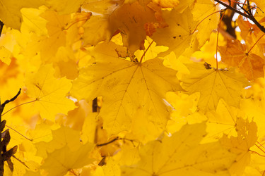 Similar image 8382212