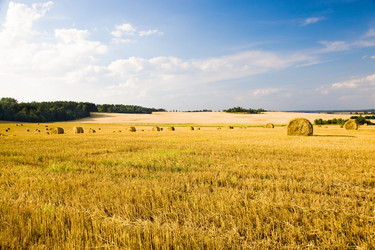 Similar image 8382213