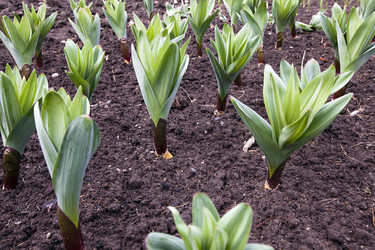 Similar image 8382215