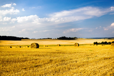 Similar image 8382221