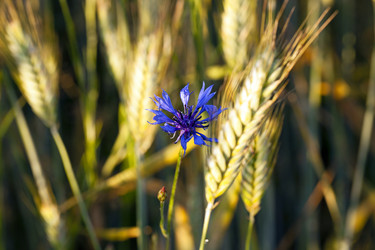 Similar image 8382238