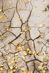 Similar image 8382241